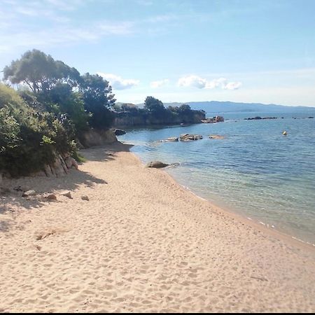 Апартаменты Magnifique T2 Ajaccio Аяччо Экстерьер фото